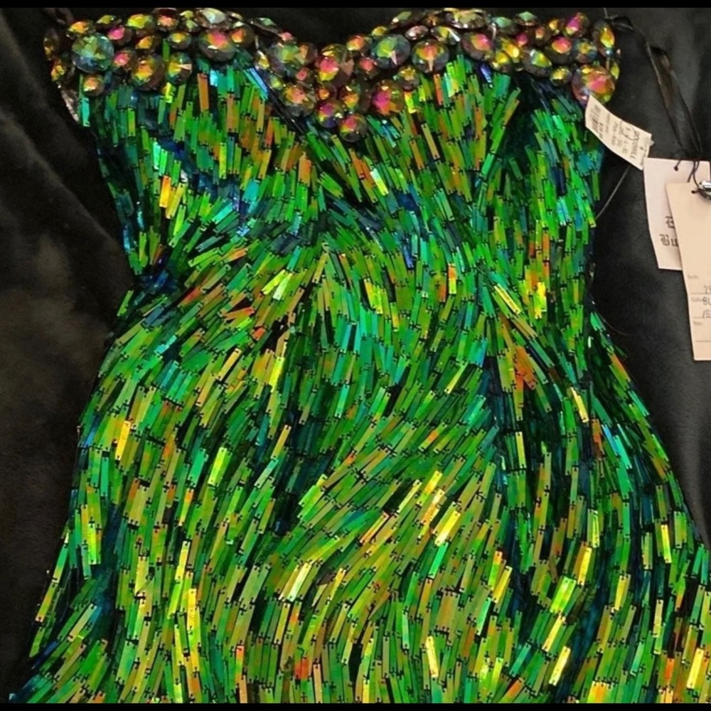 ISO this Sherri hill dress!